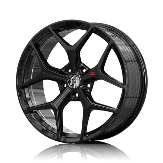RS - GTSR-M SF