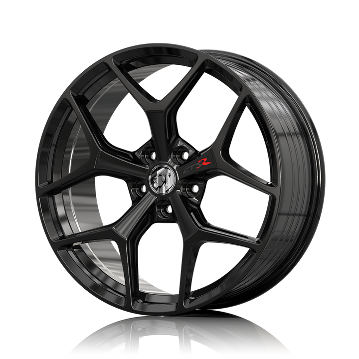 RS - GTSR-M SF