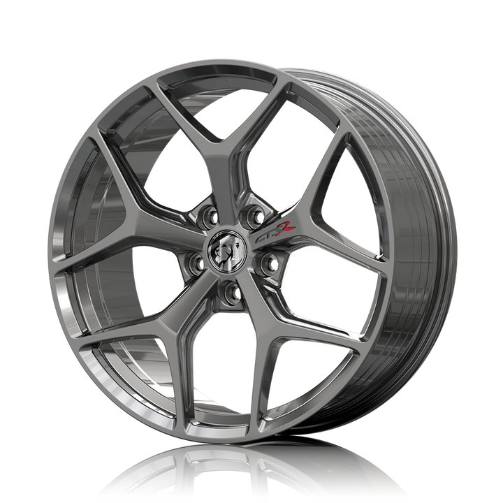 RS - GTSR-M SF